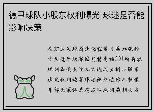 德甲球队小股东权利曝光 球迷是否能影响决策